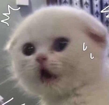 Meme hoang mang buồn cười