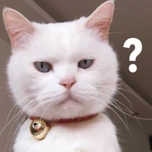 Meme khó hiểu hài hước