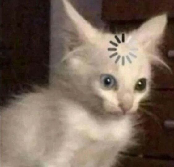 Meme khó hiểu ngộ nghĩnh