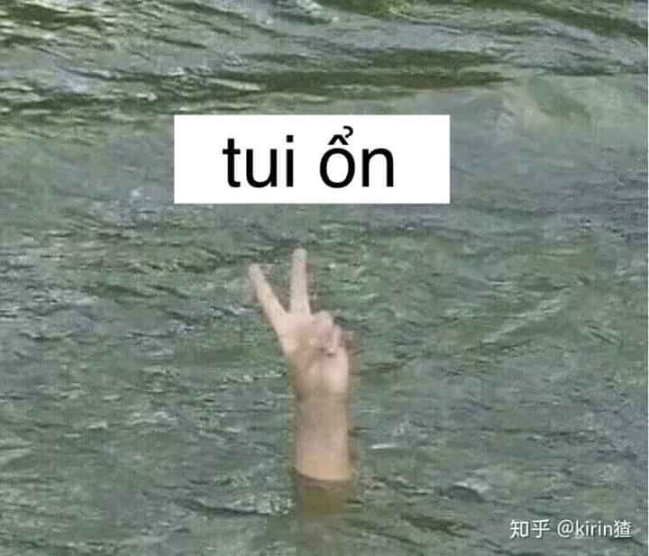 Meme không có chi ngắn gọn