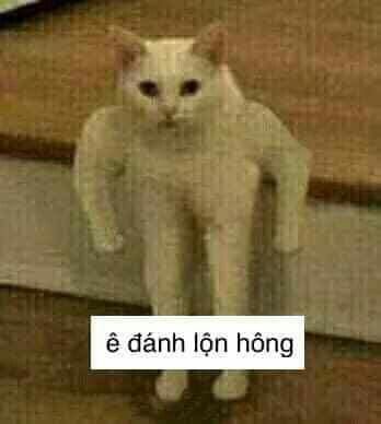 Một chữ ê đơn giản lại trở thành trào lưu hài hước cực hot