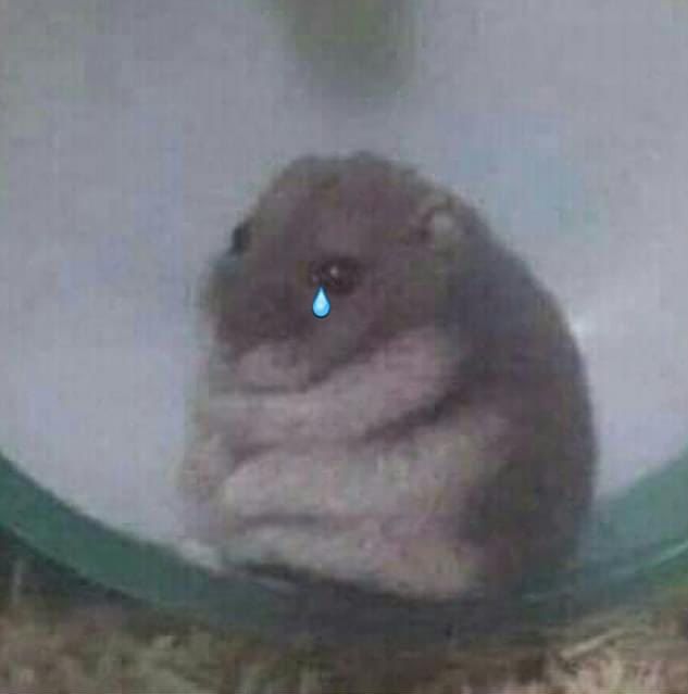 Một loạt ảnh dễ thương này khiến người xem không thể nhịn được cười