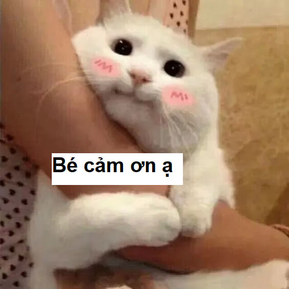 Một lời cảm ơn, đôi khi là cả một thế giới