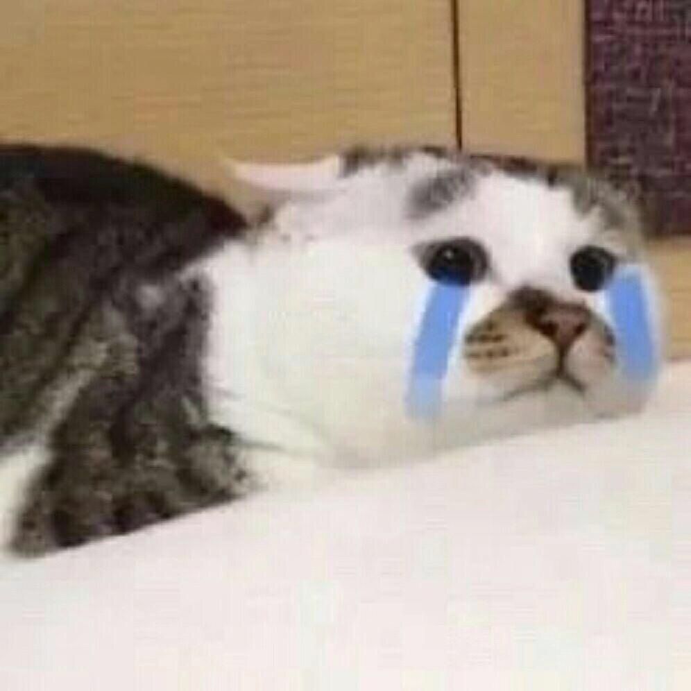 Một lời xin lỗi dễ thương có thể cứu vớt tình hình