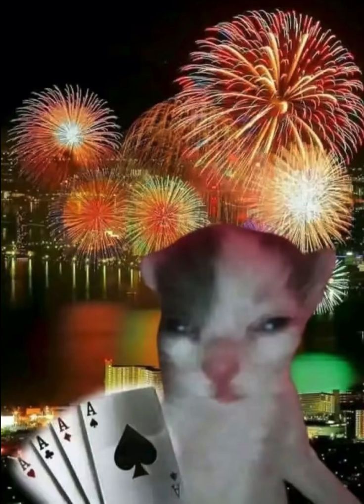 Năm mới thêm trọn vẹn niềm vui với bộ ảnh meme Tết sôi động