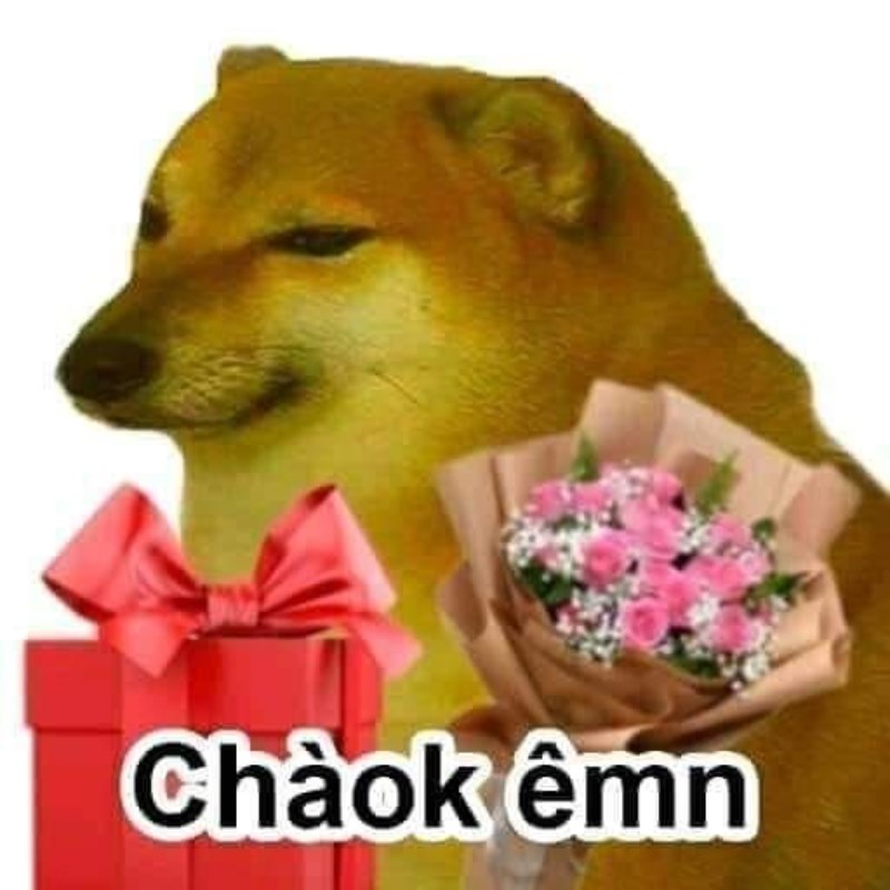 Não thì chạy, miệng thì đi lùi