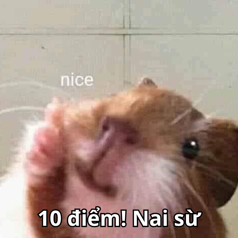 Nét mặt này có thể chấm được 10 điểm