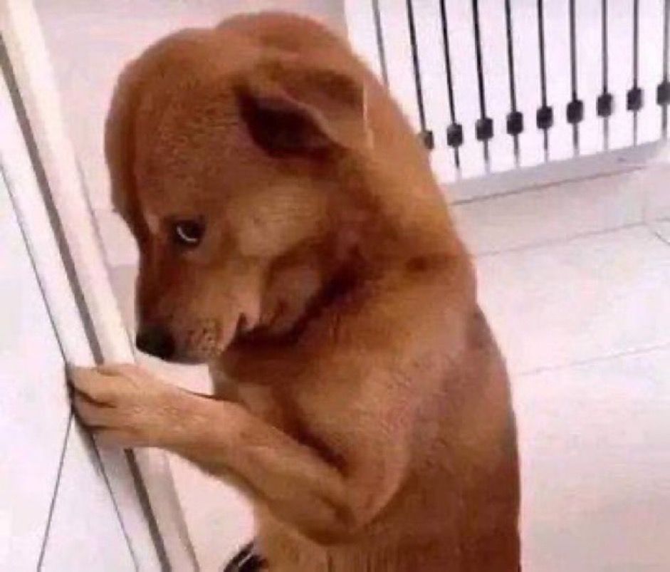 Ngại meme là lựa chọn quen thuộc trong những tình huống khó nói thành lời