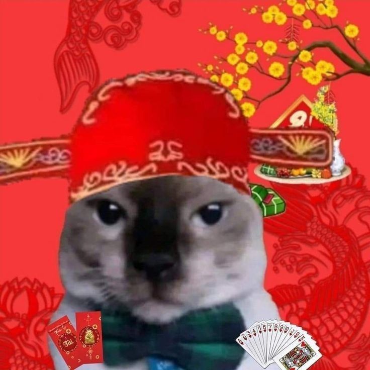 Ngày đầu xuân thêm rộn rã với sự xuất hiện của meme Tết