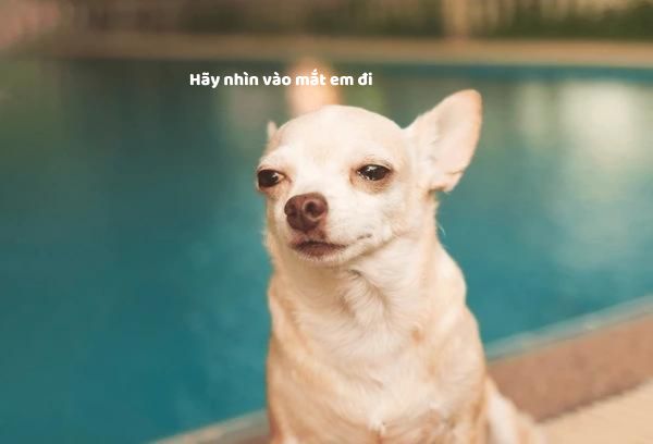 Nghe một bản nhạc cũ, nhớ một người không cũ