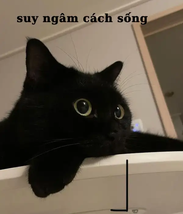 Nghĩ tới crush xong thấy mình dở ghê