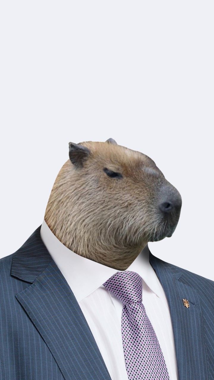Ngồi giữa thế giới vỡ nát, capybara vẫn không đứng dậy