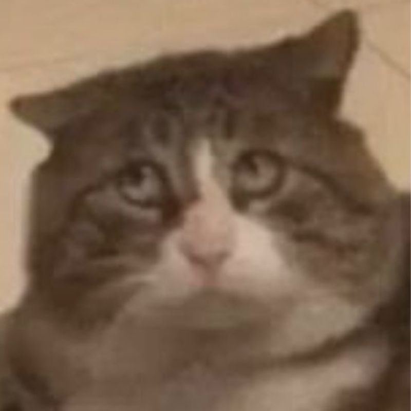 Ngồi yên cũng tạo drama cho cả nhà