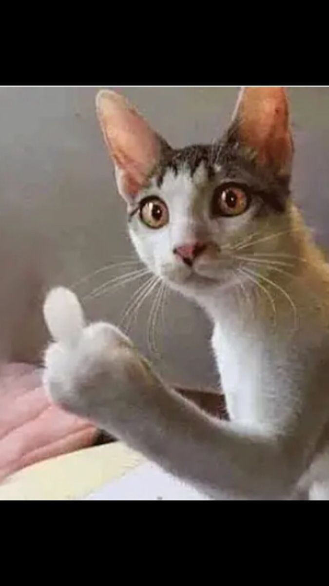 Ngón tay thân thiện meme dễ thương