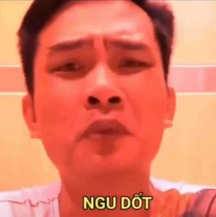 Ngu dốt meme