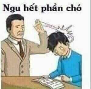 Người ta thường dùng meme ngu như một cách tự giễu