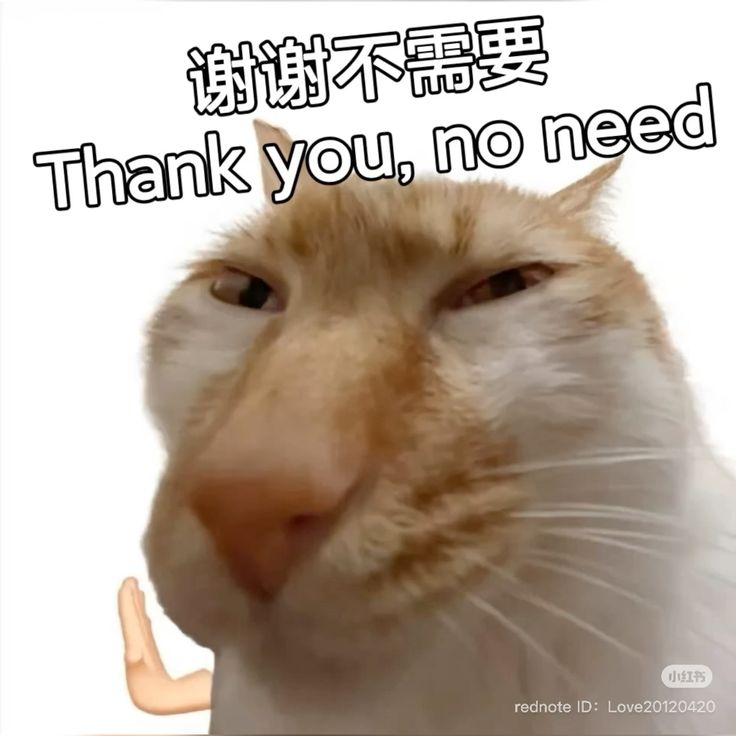Nhân vật chính chưa kịp nói đã bị cưỡng hôn