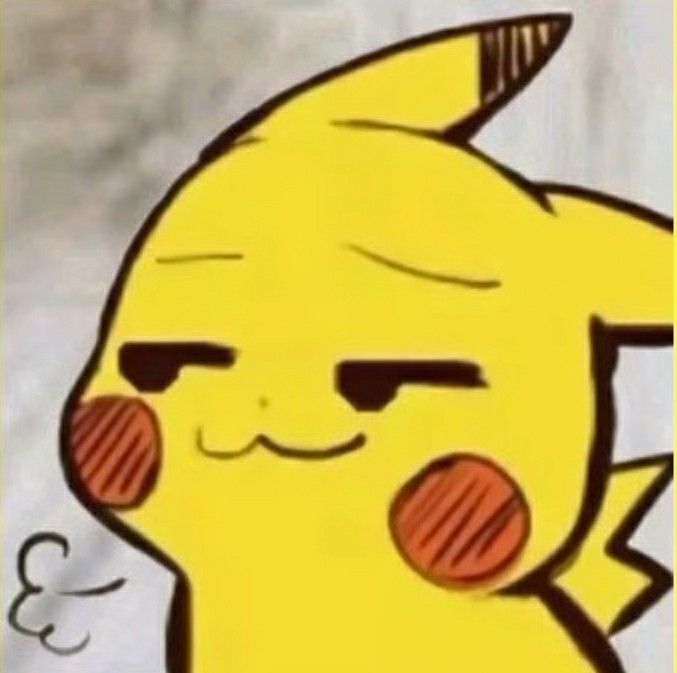 Nhìn Pikachu biết ngay đó là biểu cảm chiều thứ hai