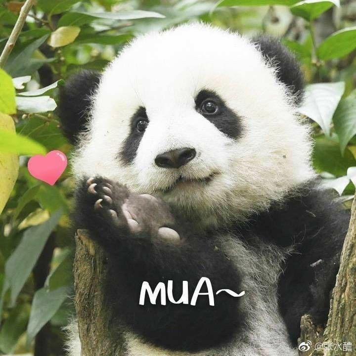 Nhìn tui dịu dàng vậy thôi chứ sát thương cao lắm