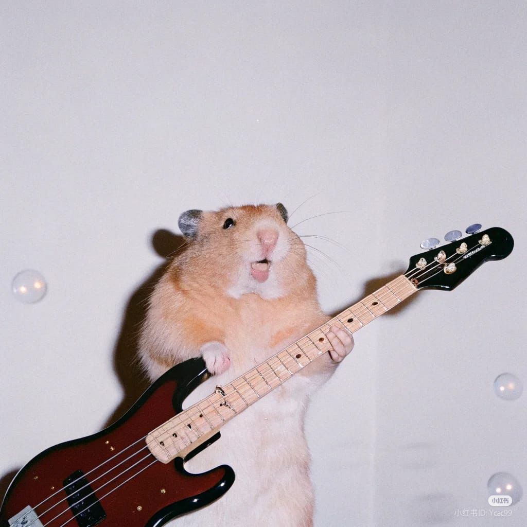 Những hình ảnh chuột nhỏ hài hước khiến fan không thể ngừng chia sẻ