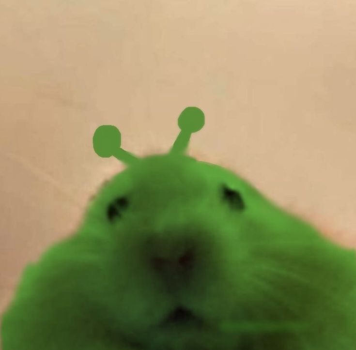 Những hình ảnh hài hước giúp bầu không khí trò chuyện thêm thoải mái