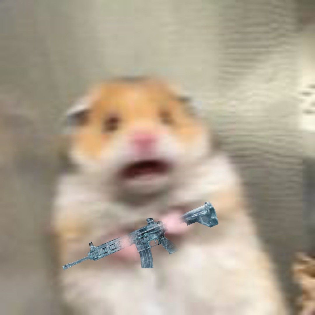 Những hình ảnh hamster cute mang lại cảm giác gần gũi vui nhộn