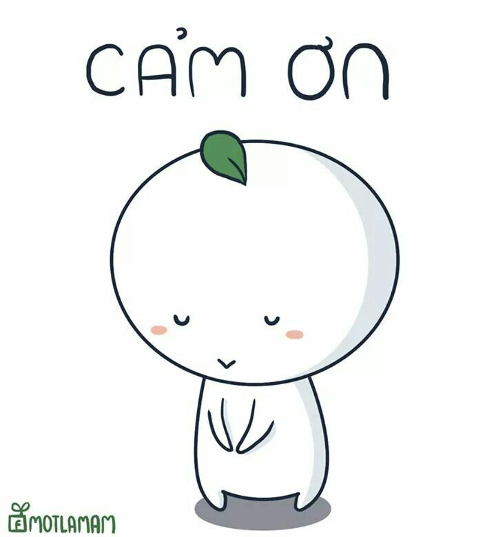 Những lời cảm ơn muộn màng đôi khi lại quý nhất