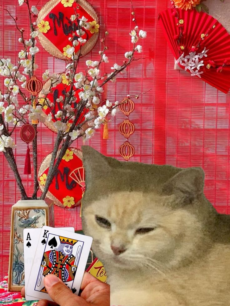 Niềm vui lan tỏa qua từng tấm meme Tết được chia sẻ rộng rãi