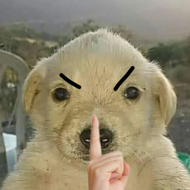 Nín đi không ai hóng đâu