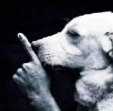 Nín lẹ đi rồi chặn luôn