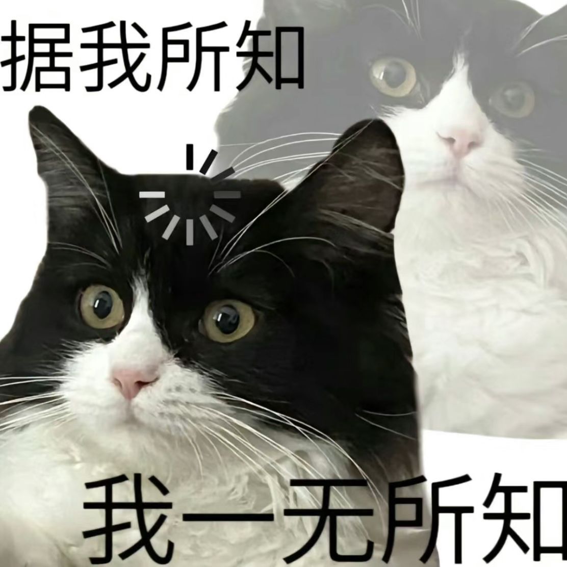 Nữ chính ngã một cách rất nghệ thuật