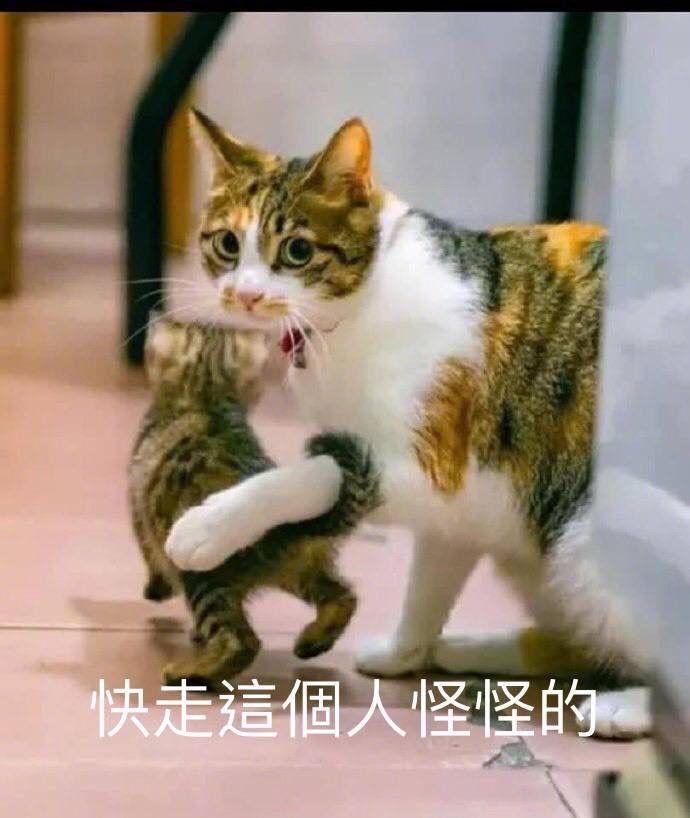 Nữ chính nói một câu mà tui khóc ba lần