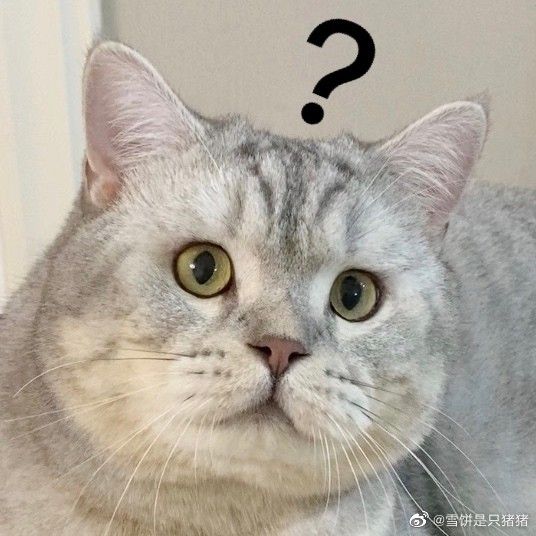 Nụ cười khó hiểu