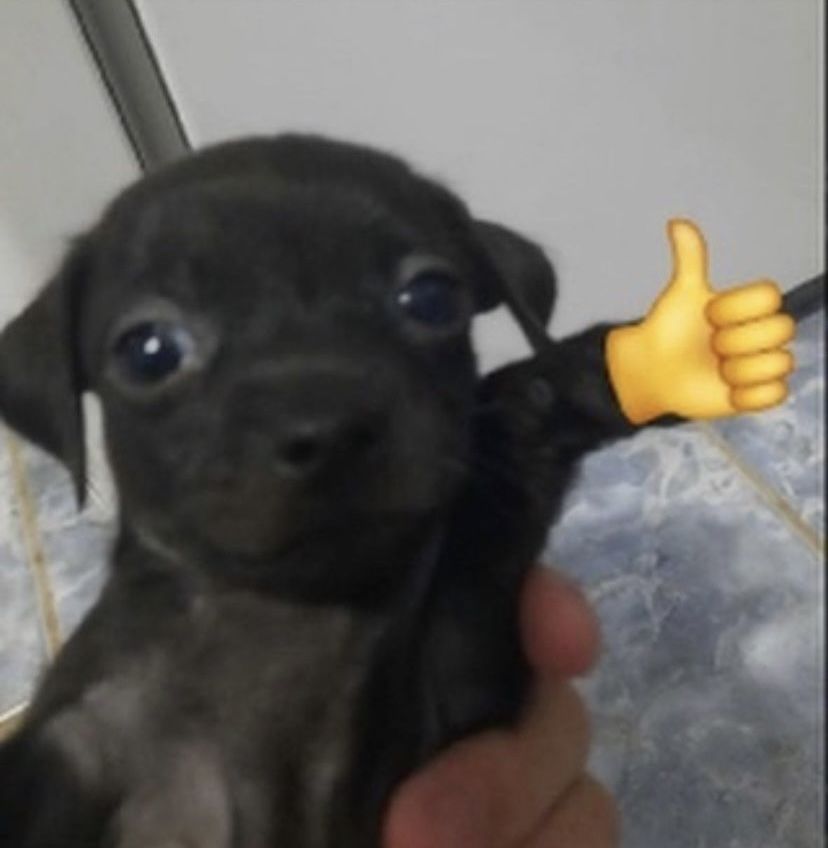 Ok nhanh như chớp, rồi hỏi lại