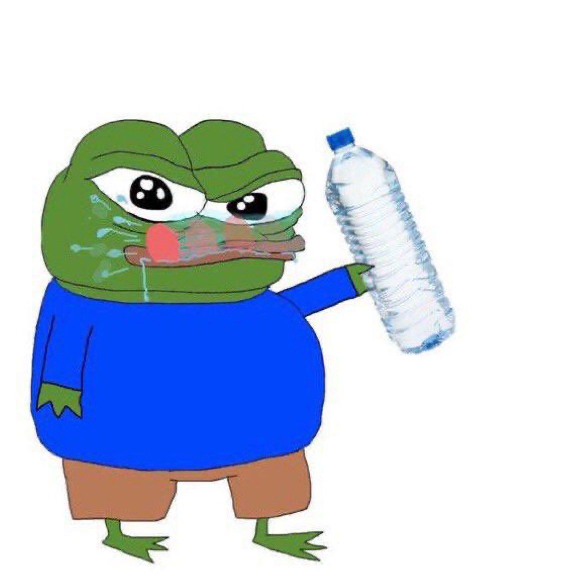 Pepe frog meme đã trở thành hình ảnh kinh điển trong văn hóa internet