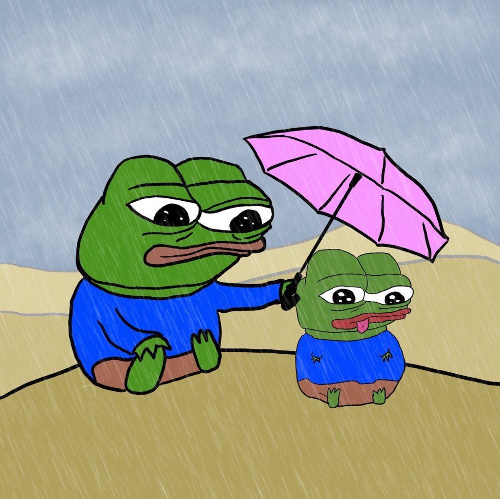 Pepe the frog meme xuất hiện trong vô số tình huống hài hước trên internet