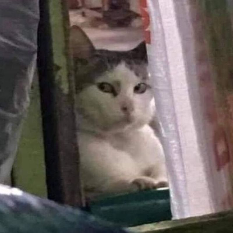 Pha đánh lén không thành công nhưng rất ngầu