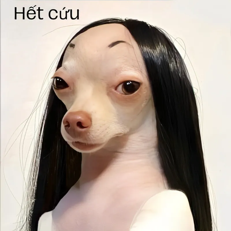 Pha này xin phép out group