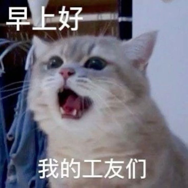 Phim Trung mà, ngã thôi cũng quay bốn góc
