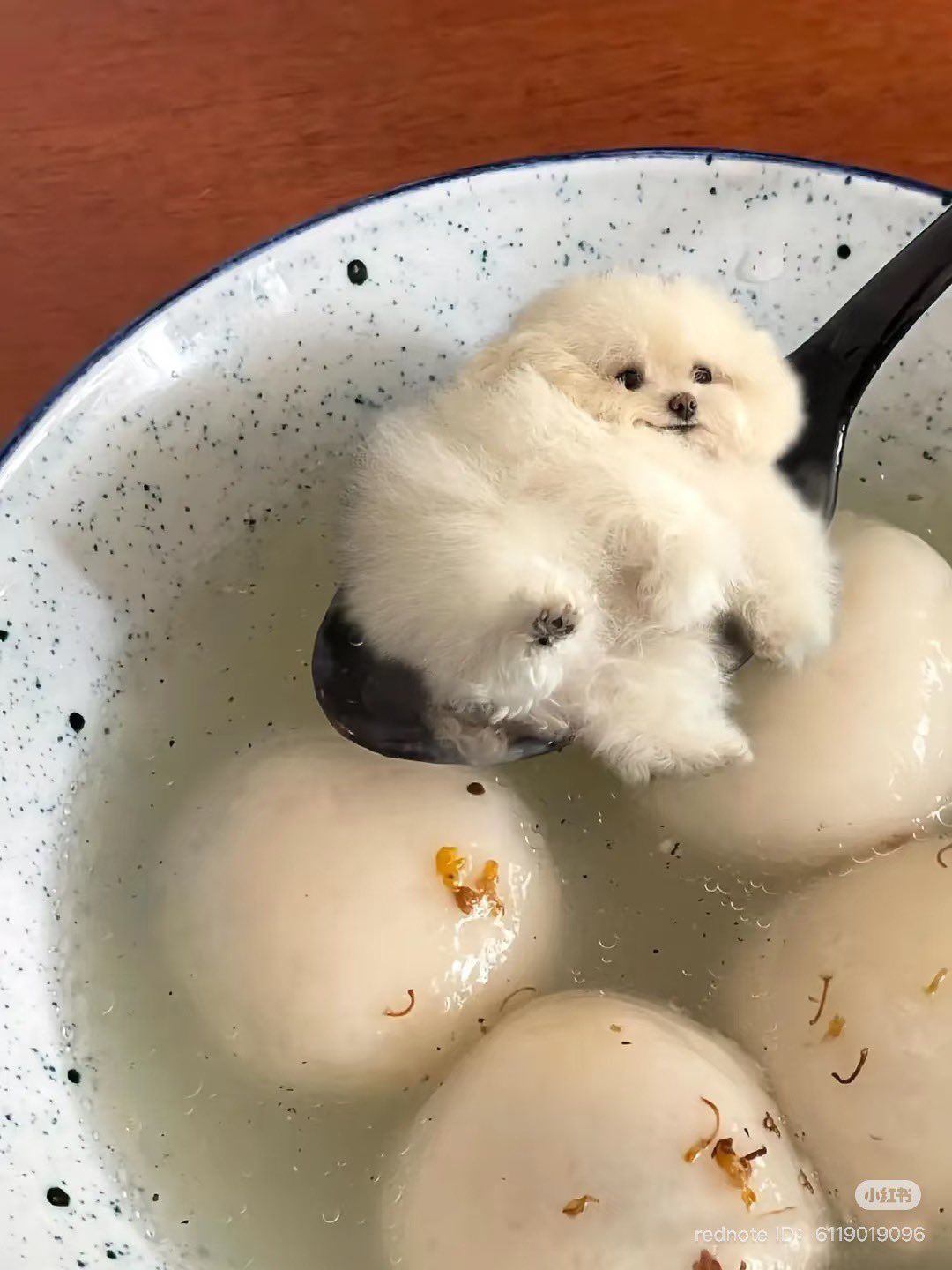 Sáng ra thấy mặt nó là biết ngày vui