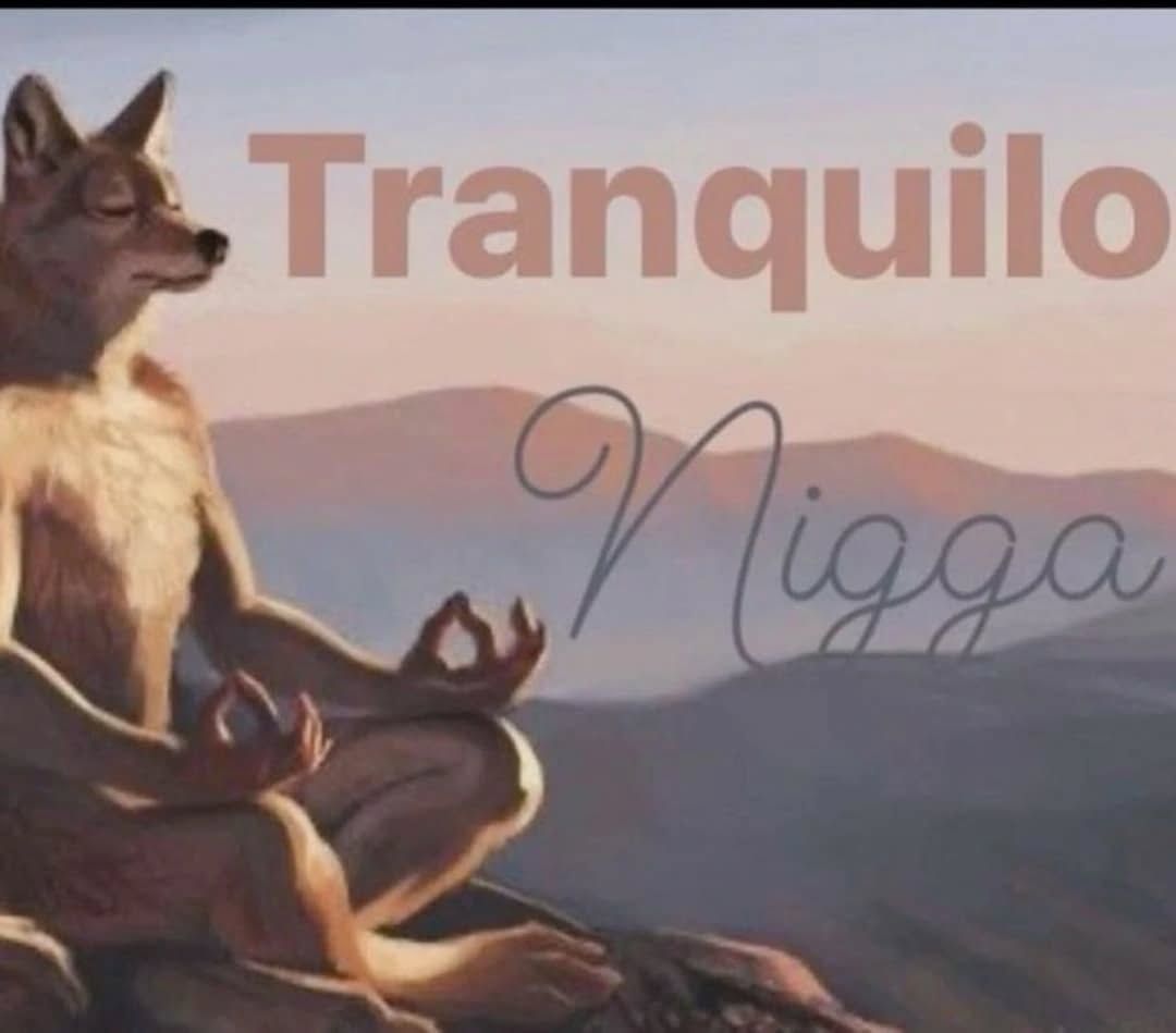 Sói cô độc meme là gì được giới trẻ quan tâm vì tính hài hước trong chế ảnh
