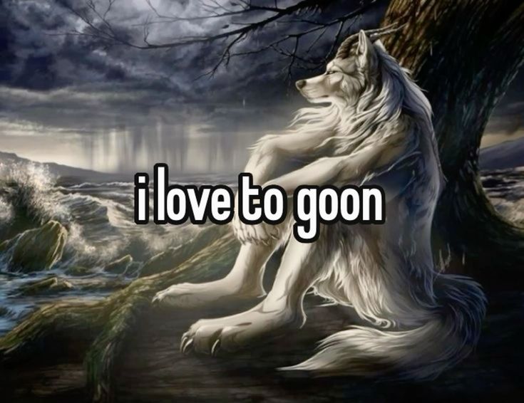 Sói cô độc meme là gì được nhắc đến như một trào lưu giải trí quen thuộc