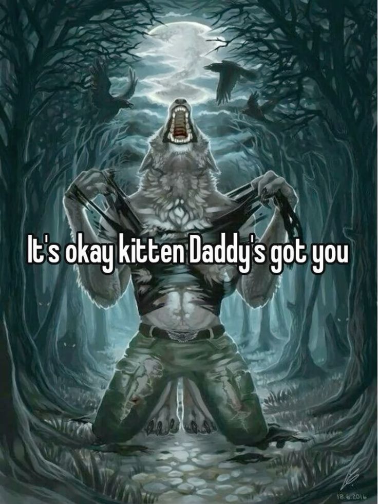Sói cô độc meme là gì giúp nhiều người hiểu hơn về nguồn gốc và ý nghĩa