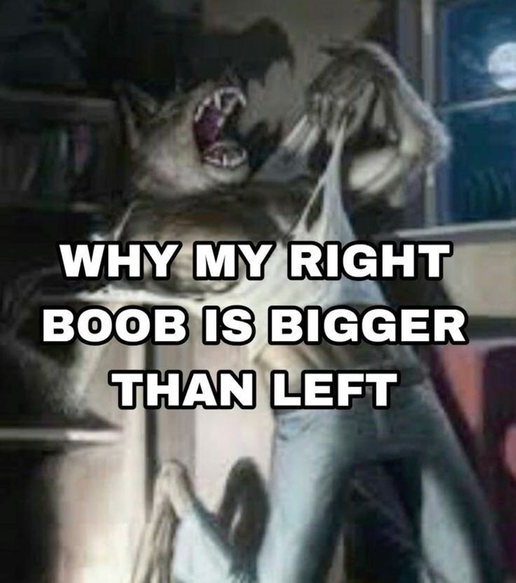 Sói cô độc meme là gì luôn được nhiều người tìm kiếm để hiểu ý nghĩa
