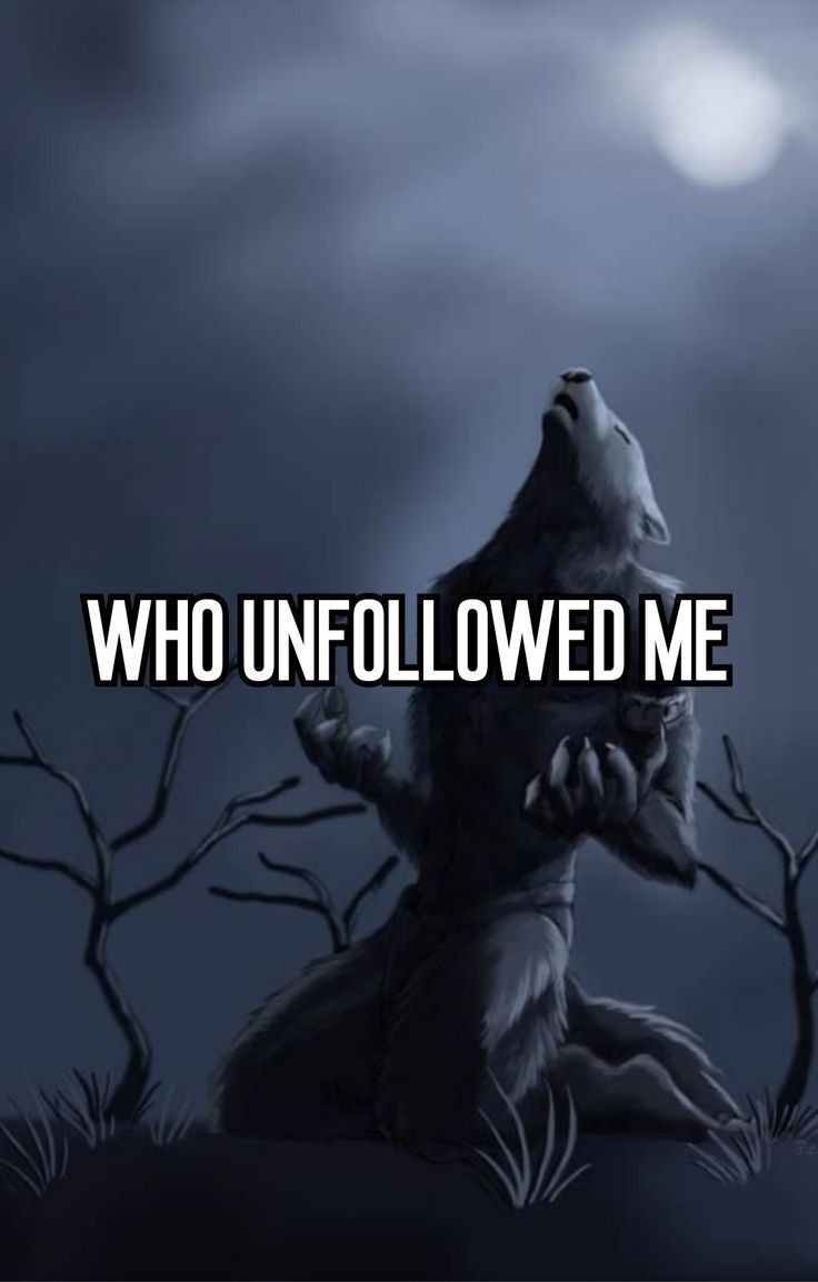Sói cô độc meme là gì ngày càng được tìm kiếm trong cộng đồng yêu thích meme