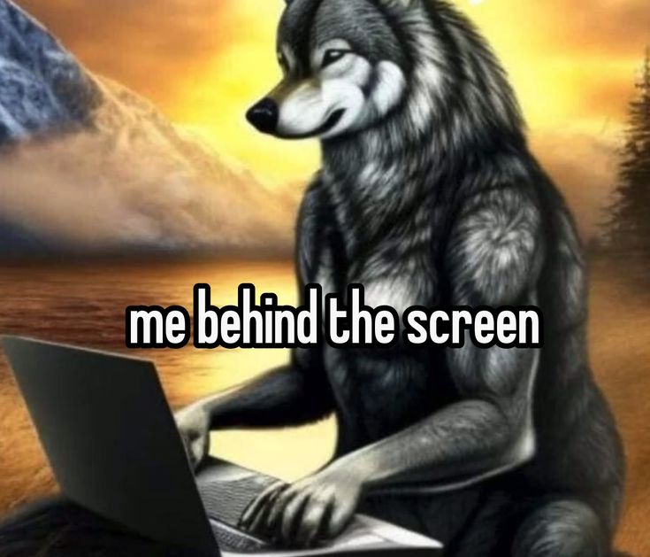Sói cô độc meme là gì thu hút nhiều bạn trẻ nhờ ý nghĩa châm biếm độc đáo