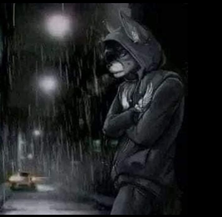 Sói cô độc meme nhảy hài hước giúp bầu không khí trò chuyện thêm phần vui tươi