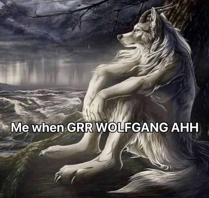 Sói cô độc meme thường được dùng trong những tình huống hài hước bất ngờ