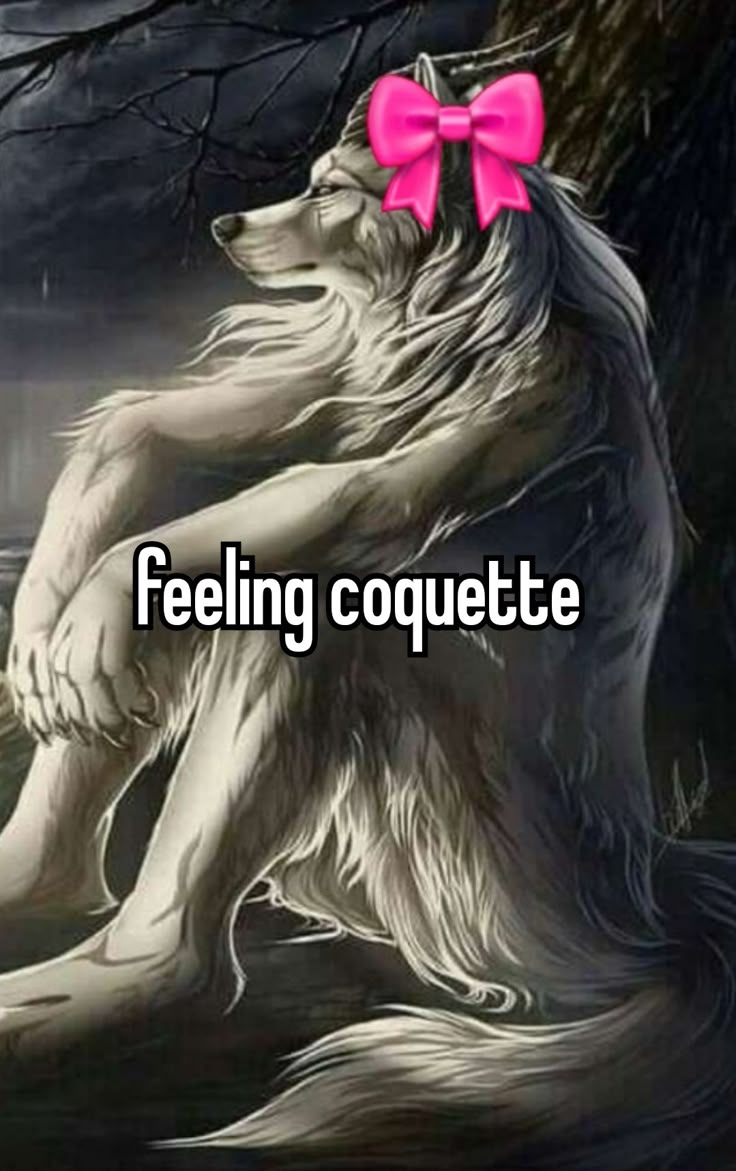 Sói già cô độc meme là biến thể hài hước phản ánh sự từng trải độc đáo