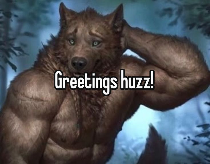 Sói già cô độc meme thể hiện sự hài hước thông qua phong cách 